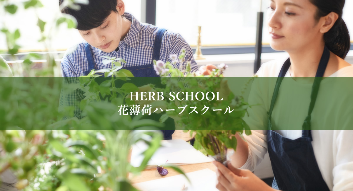 ハーブスクール